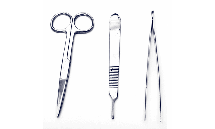 Preparering/utstilling