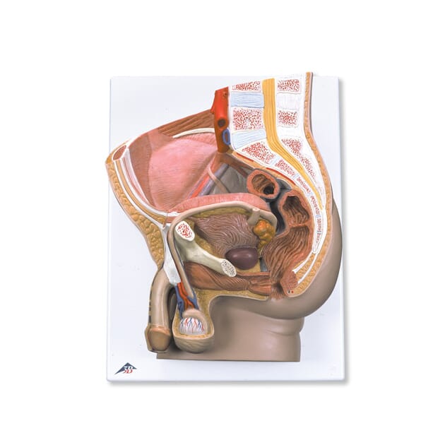 Seks rus porno olish hayajonli video Moskva-Minsk trassasidagi fohishalar joylari