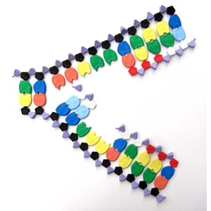 DNA-fingerprinting, byggesett Molymod