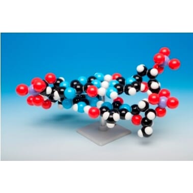 06063 DNA_2_layer_model.jpg