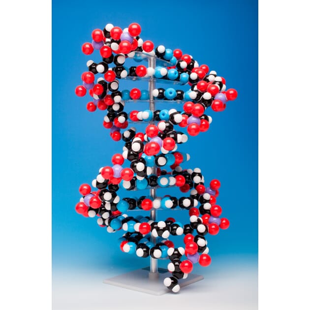 06064 DNA-10-lag.jpg