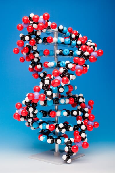 DNA-molekylbyggesett, 10-lags, Molymod 122-10