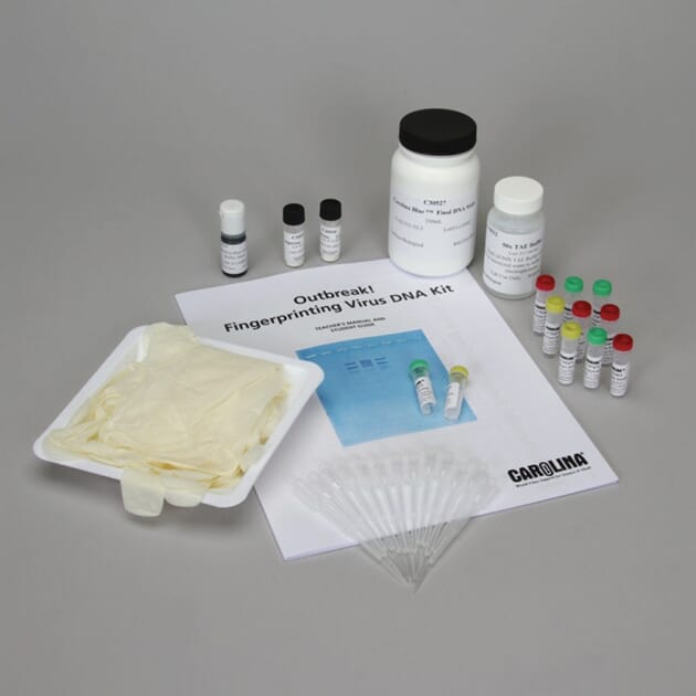 06057 DNA_fingerprinting.jpg