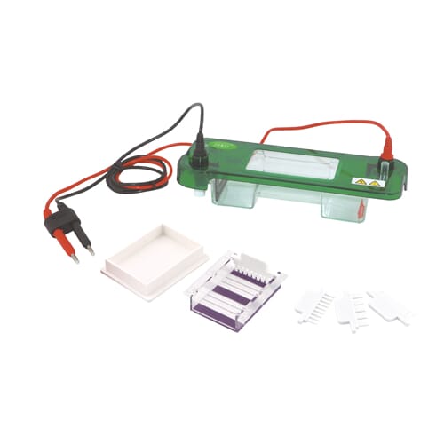 15509_Rel elektroforesekar_l.jpg
