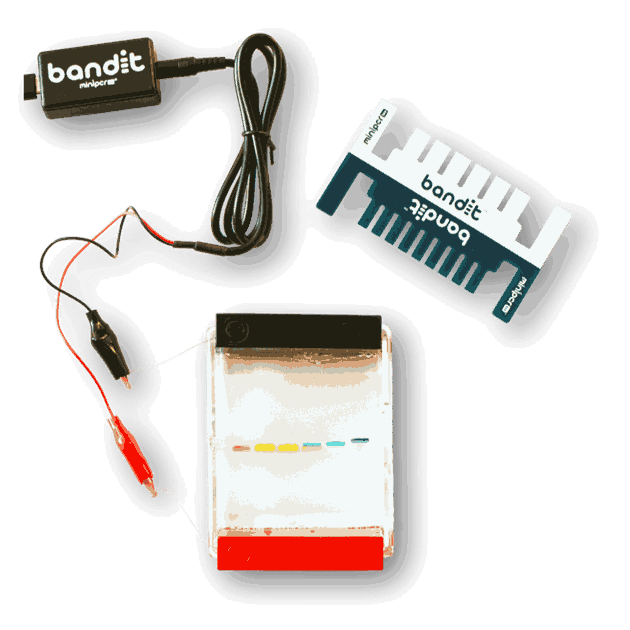 15510 15510_Bandit_elektroforese.png