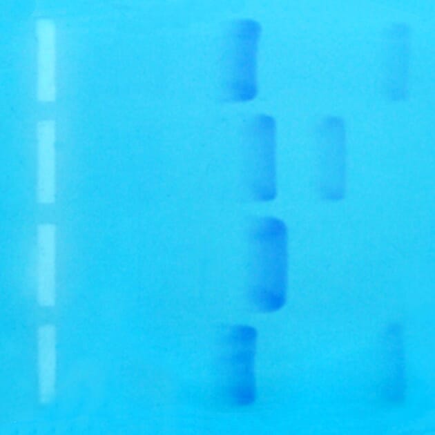 15522_Rel utforsk_fingerprint.jpg