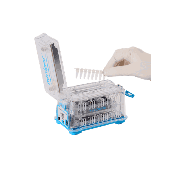 15543_Rel mini8X - hand placing tubes.png