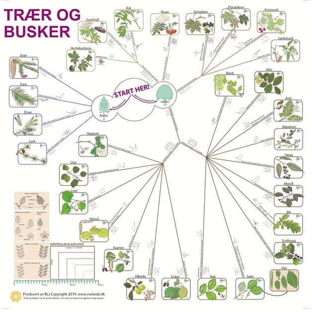 13124 Bestemmelsesduk_trær og busker_farger.jpg
