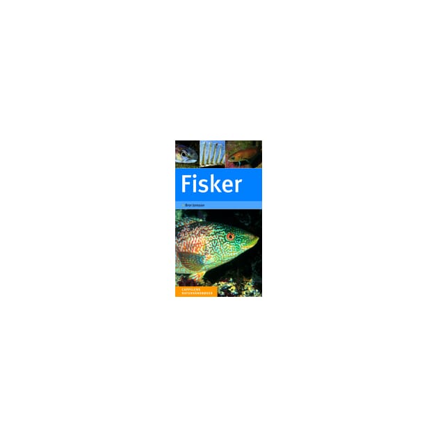 13200 Cappelen_fisker.jpg