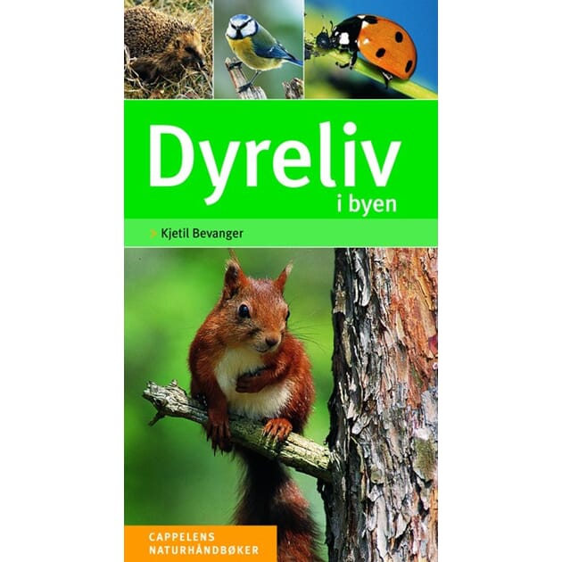 13204 dyreliv i byen.jpg