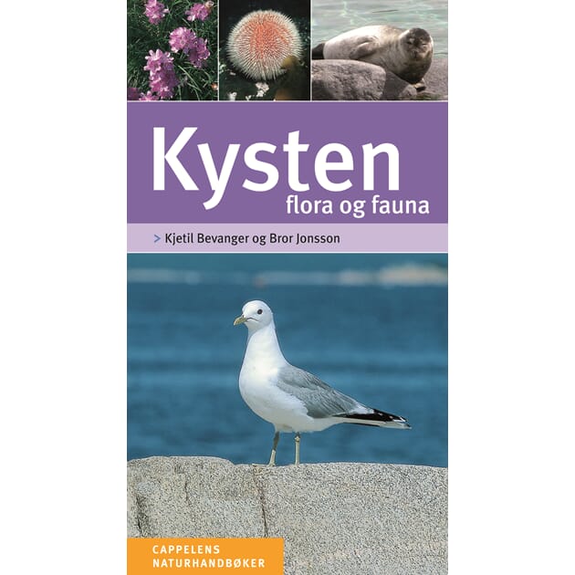 13206 Cappelen_Kysten.jpg