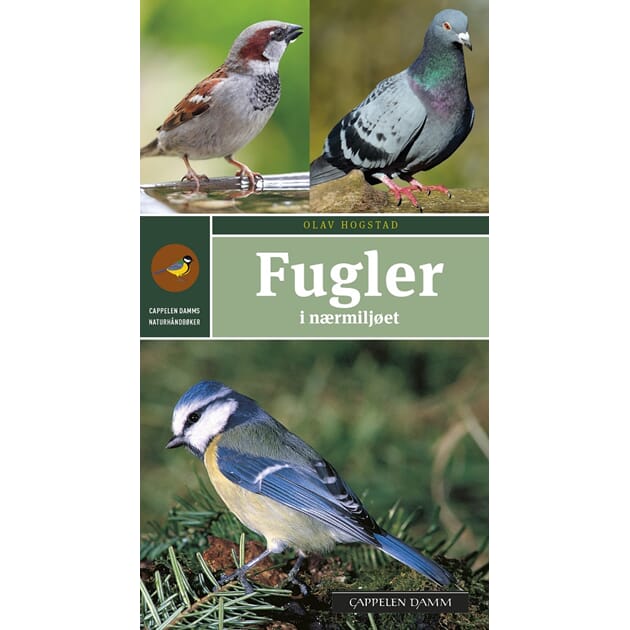 13213 Cappelen_fugler_2.jpg