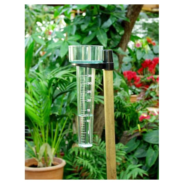 13083 regnmåler.jpg