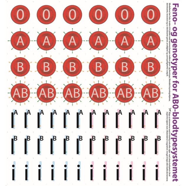 06016_Rel AB0-systemet_magnetmodell.jpg