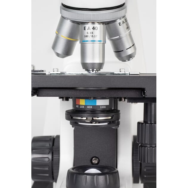 10102_Rel 10109_stellar_bi_det1.jpg