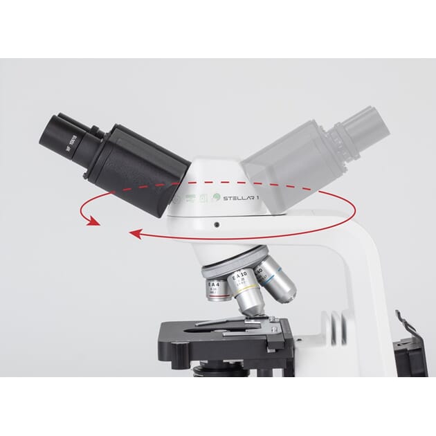 10102_Rel 10109_stellar_bi_det3.jpg