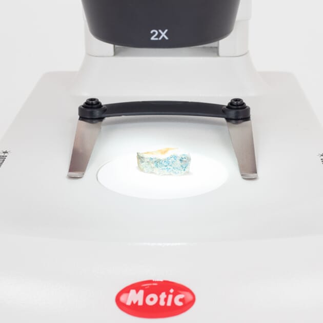 10116_Rel motic_red30s_03.jpg