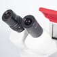10116_Rel Motic_red30s_04.jpg