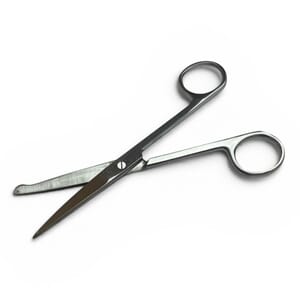 Saks, anatomisk rett