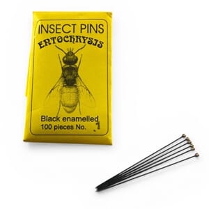 Insektsnåler, pk. á 100 stk