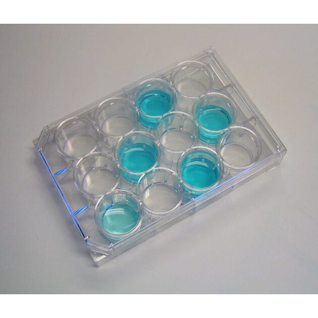 15159 mikroplate_plast.jpg